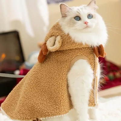 trang phục theo mùa và lễ hội cho thú cưng