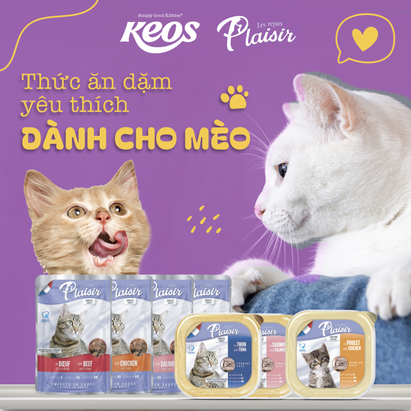 Thức ăn cho mèo tốt nhất hiện nay